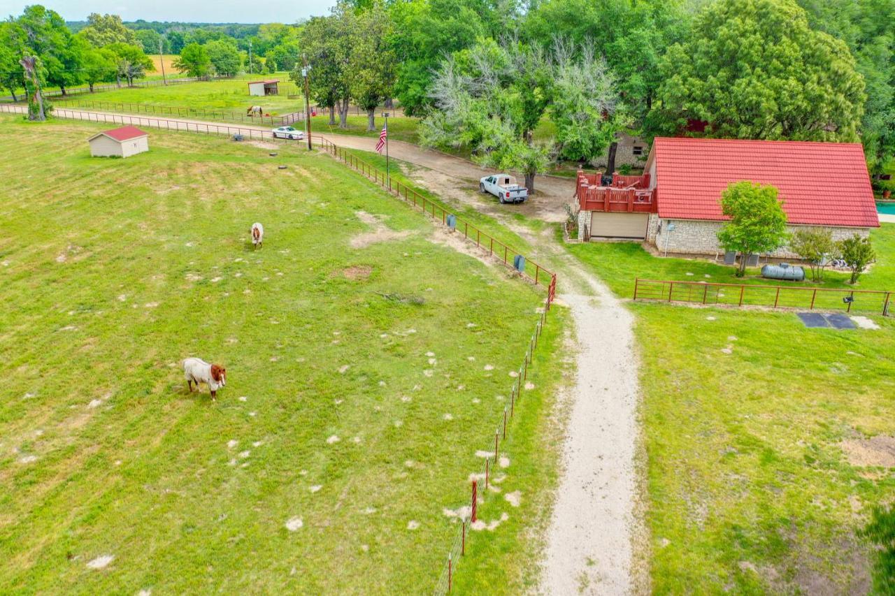Dog-Friendly Wills Point Home With Grill On 10 Acres Canton Bagian luar foto